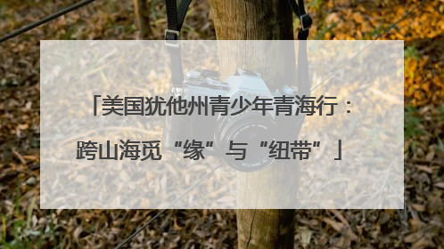 美国犹他州青少年青海行：跨山海觅“缘”与“纽带”